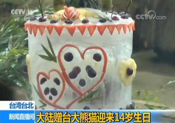 Special panda cake